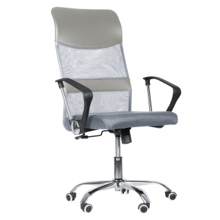 Компьютерное кресло Ergozen Braberg серый